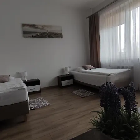 ホテル Hotel Mlawa
